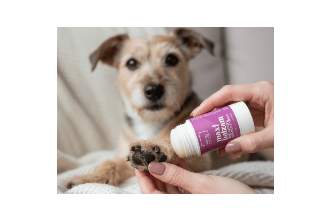 Maxi balm