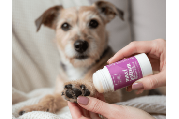 Natural Maxi Balm for lips, face and hands – bergamot & lemongrass | Mala od lavande