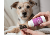 Natural Maxi Balm for lips, face and hands – bergamot & lemongrass | Mala od lavande