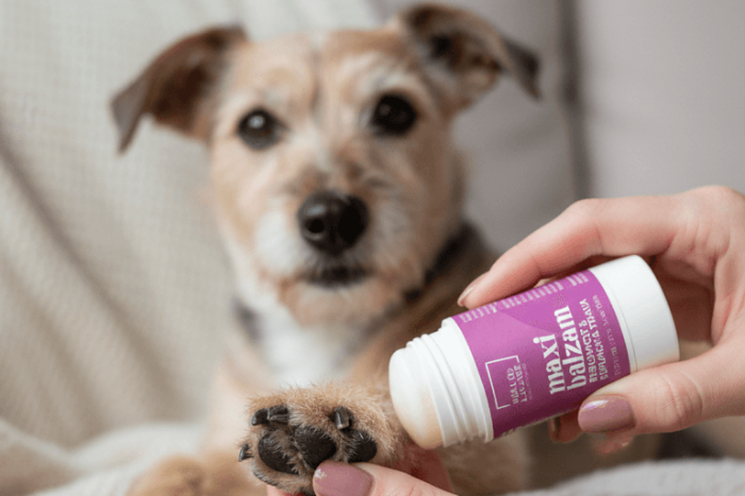 Maxi balm