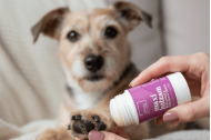 Natural Maxi Balm for lips, face and hands – bergamot & lemongrass | Mala od lavande