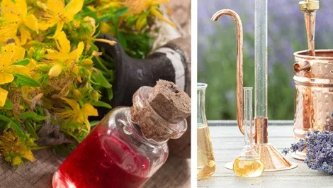 Hydrosol vs. Macerate – A Story of Two Botanical Wonders