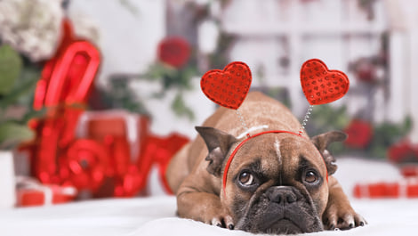 Valentine's Day Gift: gift packages for her and him that truly speak